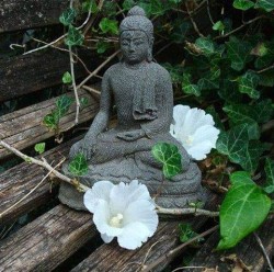 bouddhisme-bouddha-bodhisattva-fb-20220509