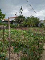 mikael-2022-09-son-jardin2