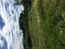 675092431631232bdc7-8f13-4005-b961-1d1871f61978