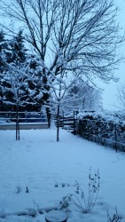 photos-samsung-1-04-2018-1554