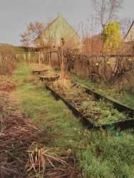 img20181217115334-petit