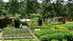 ac74769199133f07829d3fe2f84f99cc-creation-d-un-jardin-partage-menez-kergoff