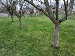 img20190317144612-min