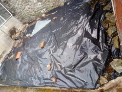 566274362692574972887852618631394183610368n