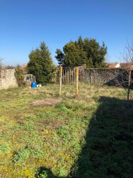 525328624162332358468573439717463439179776n