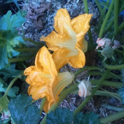 6678546520282342841522795445168866537766912n-2