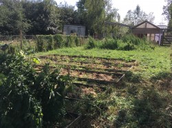 fe2c845b-3dbb-45be-984b-72a2c20a4464